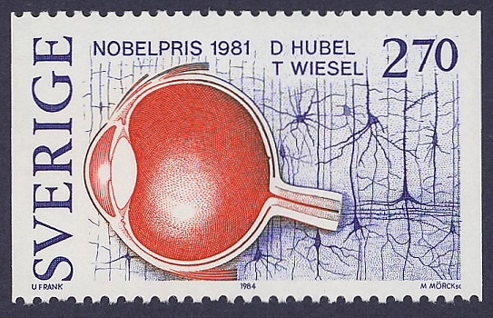 Torsten
                N. Wiesel Nobel Prize