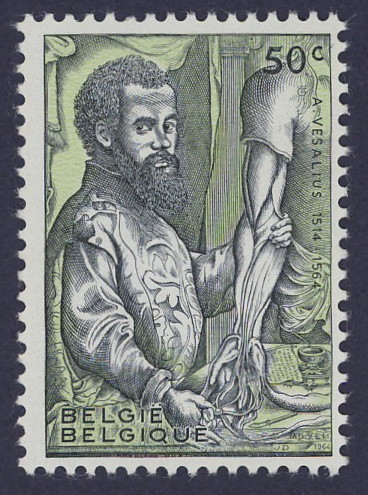Andreas
                Vesalius