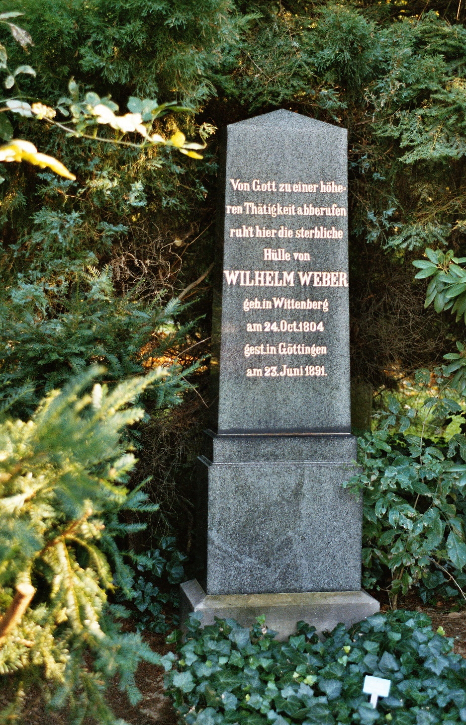Wilhelm Weber Gttingen